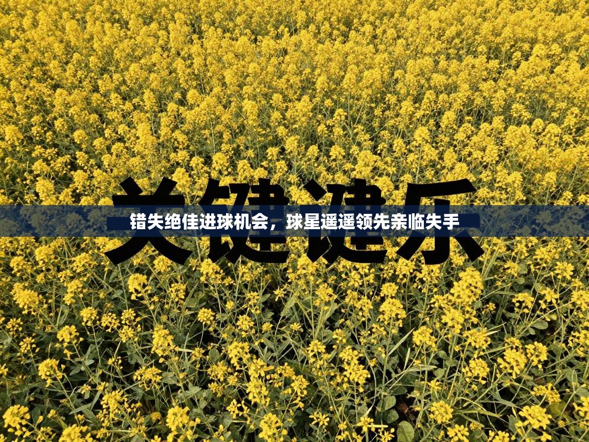 错失绝佳进球机会，球星遥遥领先亲临失手  第2张