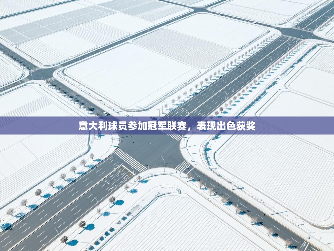 意大利球员参加冠军联赛，表现出色获奖  第1张