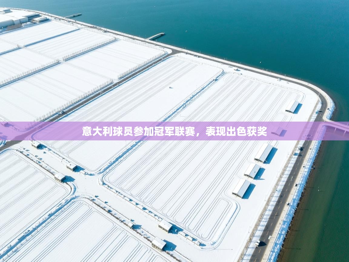 意大利球员参加冠军联赛，表现出色获奖  第2张