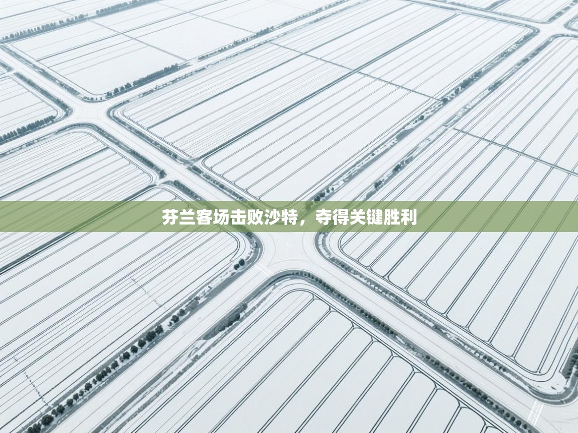 芬兰客场击败沙特，夺得关键胜利  第2张