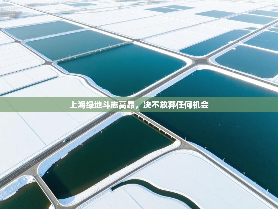 上海绿地斗志高昂,决不放弃任何机会 第2张